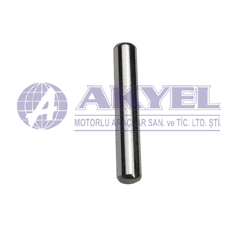 NEW HOLLAND,AXLE NEEDLE BEARING