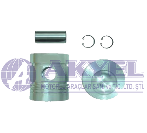 MASSEY FERGUSON, PISTON AND PIN