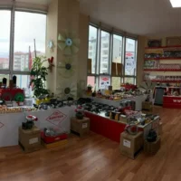 akyel-gorup-about (13)