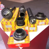 akyel-gorup-about (17)