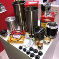 akyel-gorup-about (2)